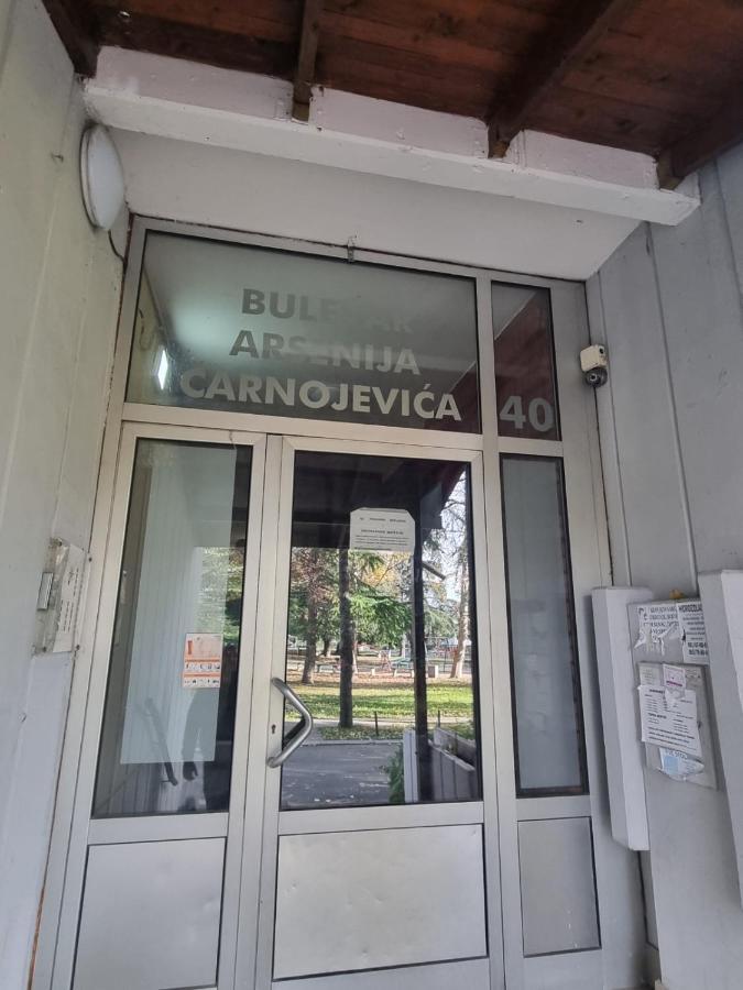 Ferienwohnung Hawaii- 2 Bdr, Arena, Sava Centar, Free Parking Belgrad Exterior foto